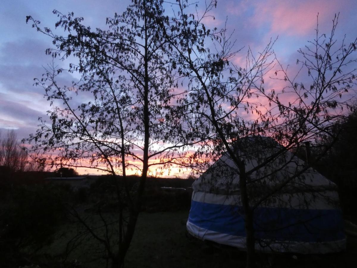 Inch Hideaway Eco Camping Whitegate  Buitenkant foto