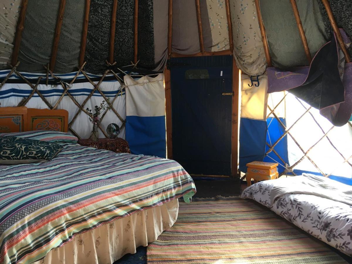 Inch Hideaway Eco Camping Whitegate  Buitenkant foto