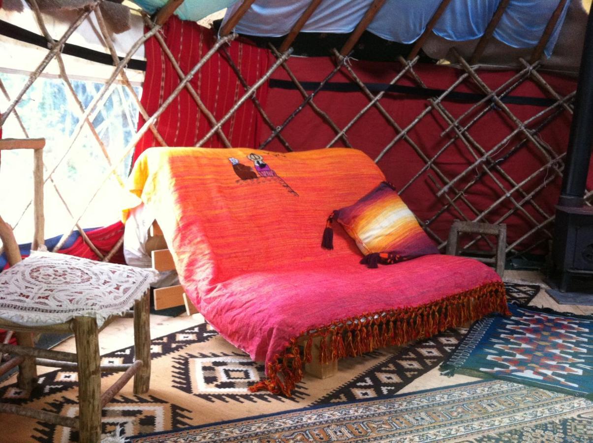 Inch Hideaway Eco Camping Whitegate  Buitenkant foto