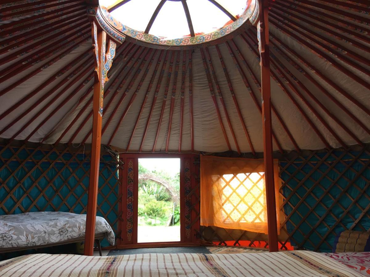 Inch Hideaway Eco Camping Whitegate  Buitenkant foto
