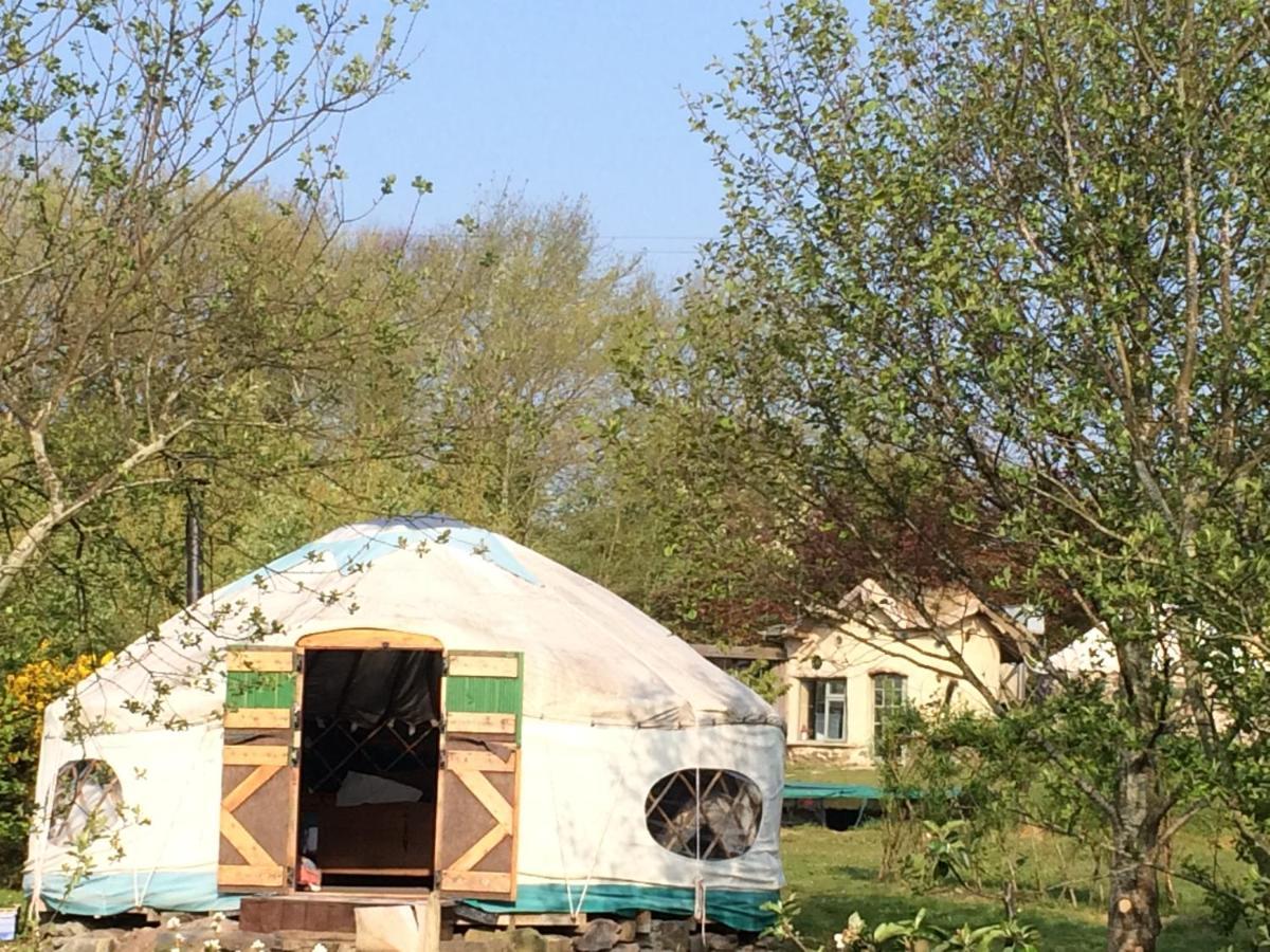 Inch Hideaway Eco Camping Whitegate  Buitenkant foto