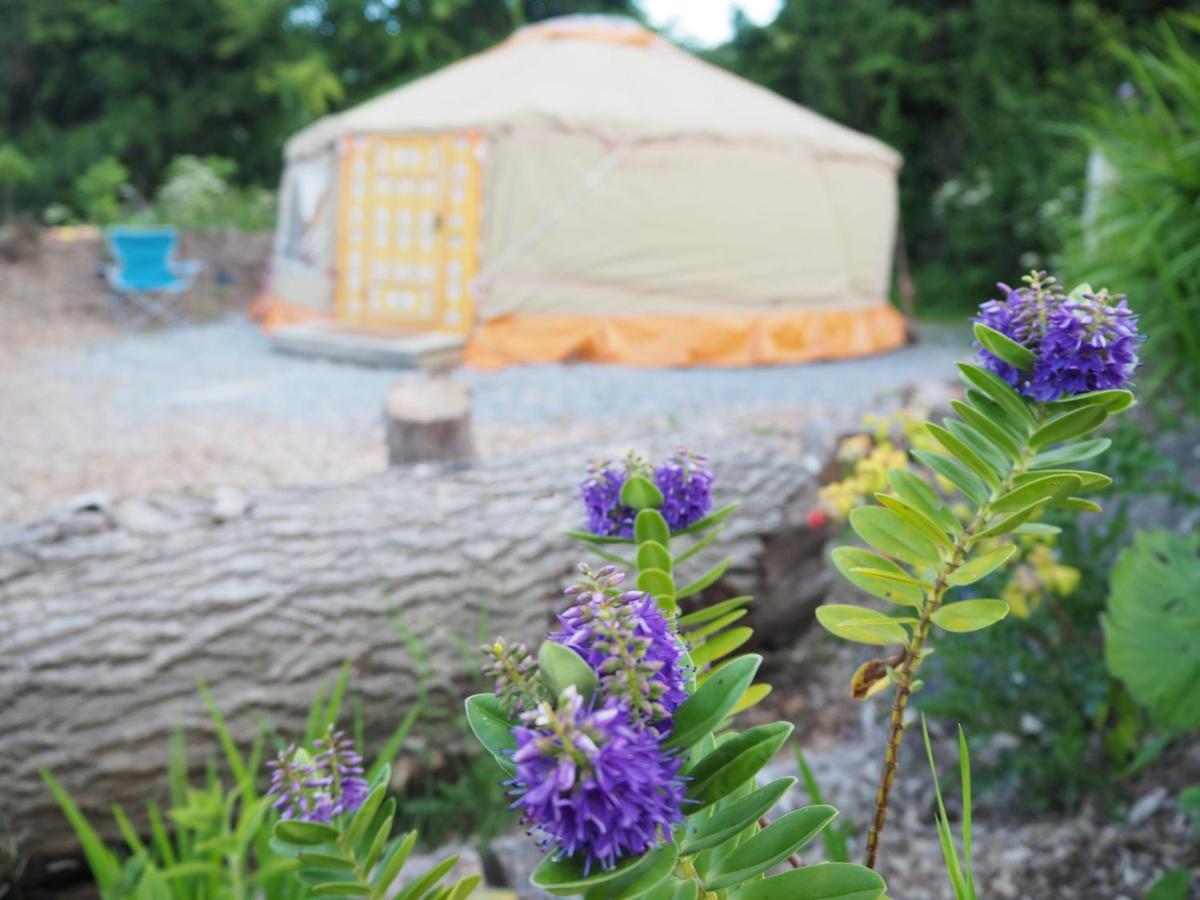 Inch Hideaway Eco Camping Whitegate  Buitenkant foto