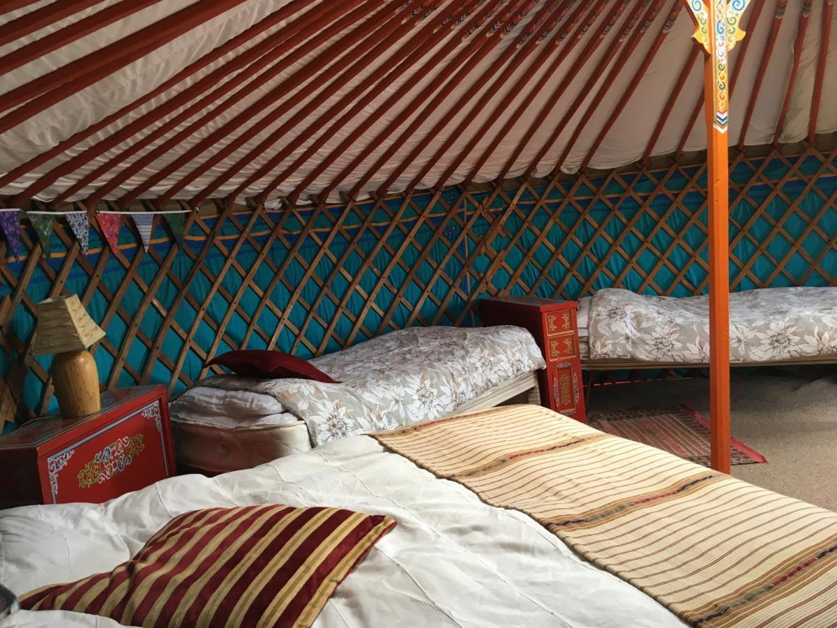 Inch Hideaway Eco Camping Whitegate  Buitenkant foto