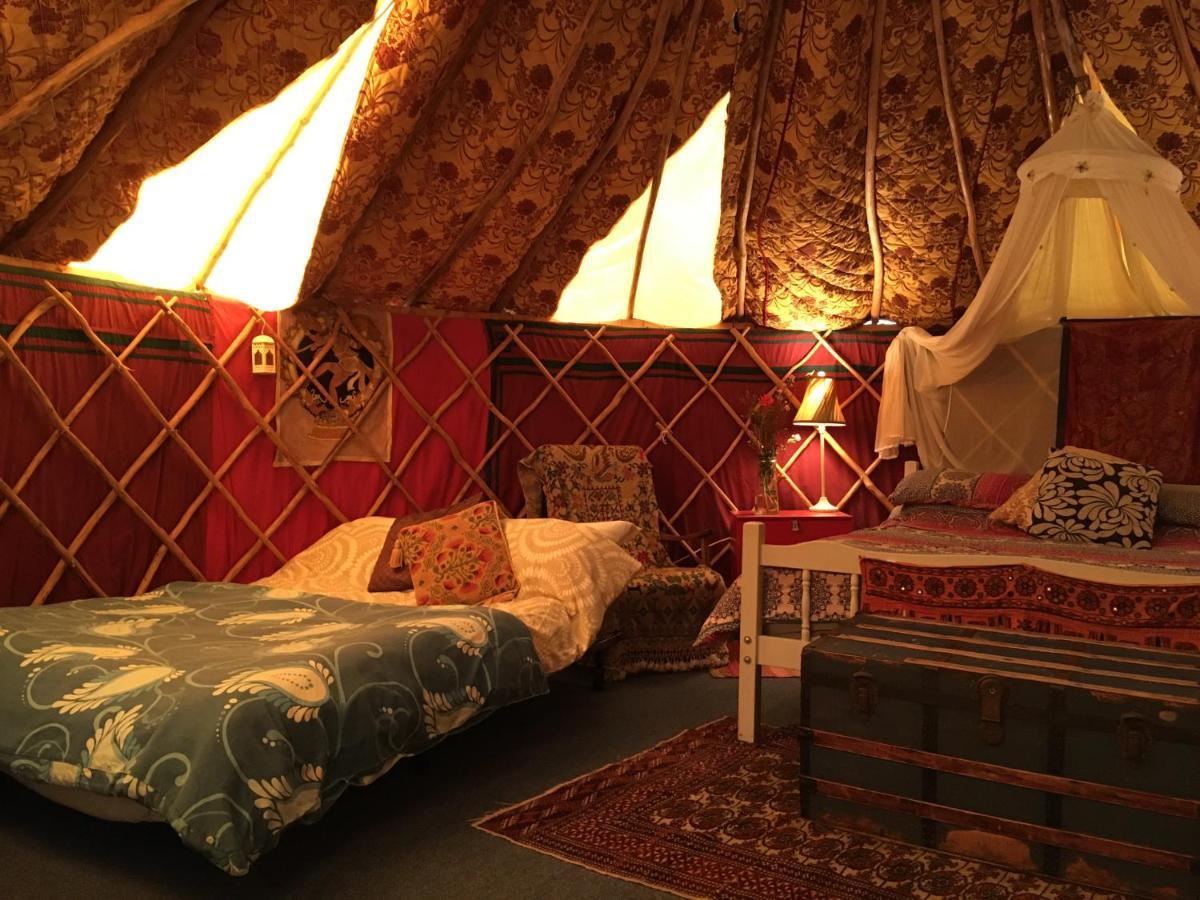 Inch Hideaway Eco Camping Whitegate  Buitenkant foto